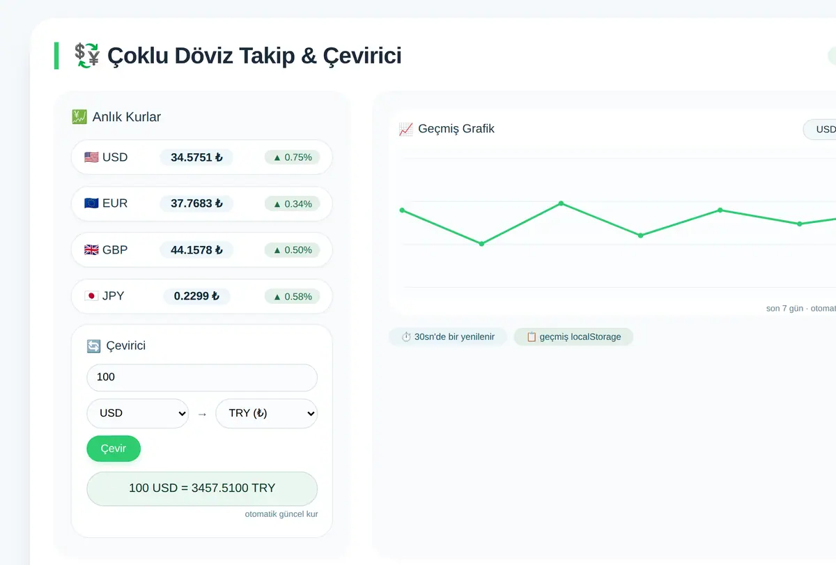 Çoklu Döviz Takip ve Çevirici Aracı ekran görüntüsü