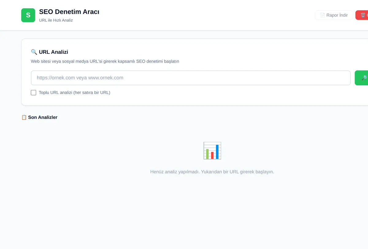 SEO Denetim Aracı - URL ile Hızlı Analiz ekran görüntüsü