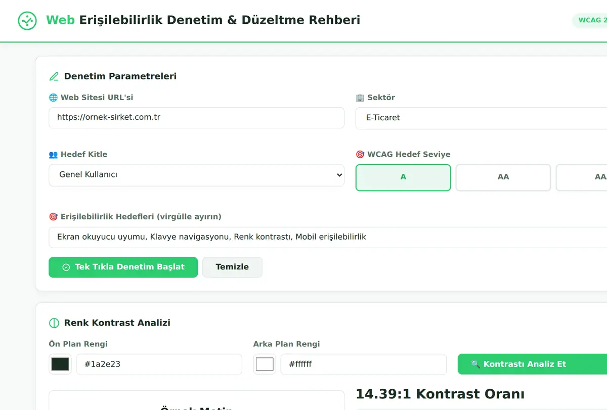 Web Erişilebilirlik Denetim & Düzeltme Rehberi ekran görüntüsü
