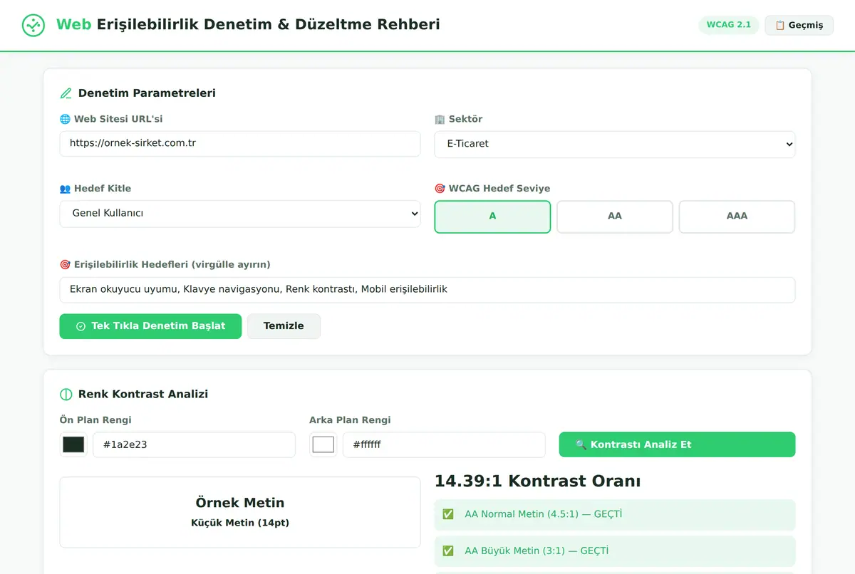 Web Erişilebilirlik Denetim & Düzeltme Rehberi ekran görüntüsü 2