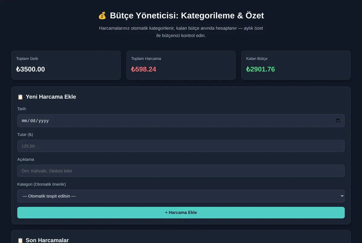 Bütçe Yöneticisi: Kategorileme & Özet ekran görüntüsü 2