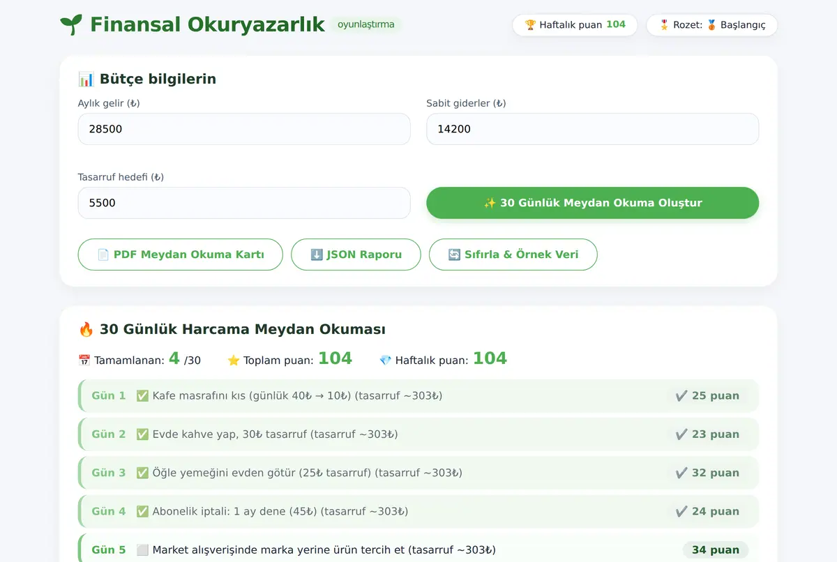 Finansal Okuryazarlık Oyunlaştırma Aracı ekran görüntüsü 2