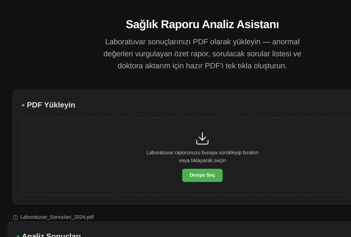 Sağlık Raporu Analiz Asistanı ekran görüntüsü