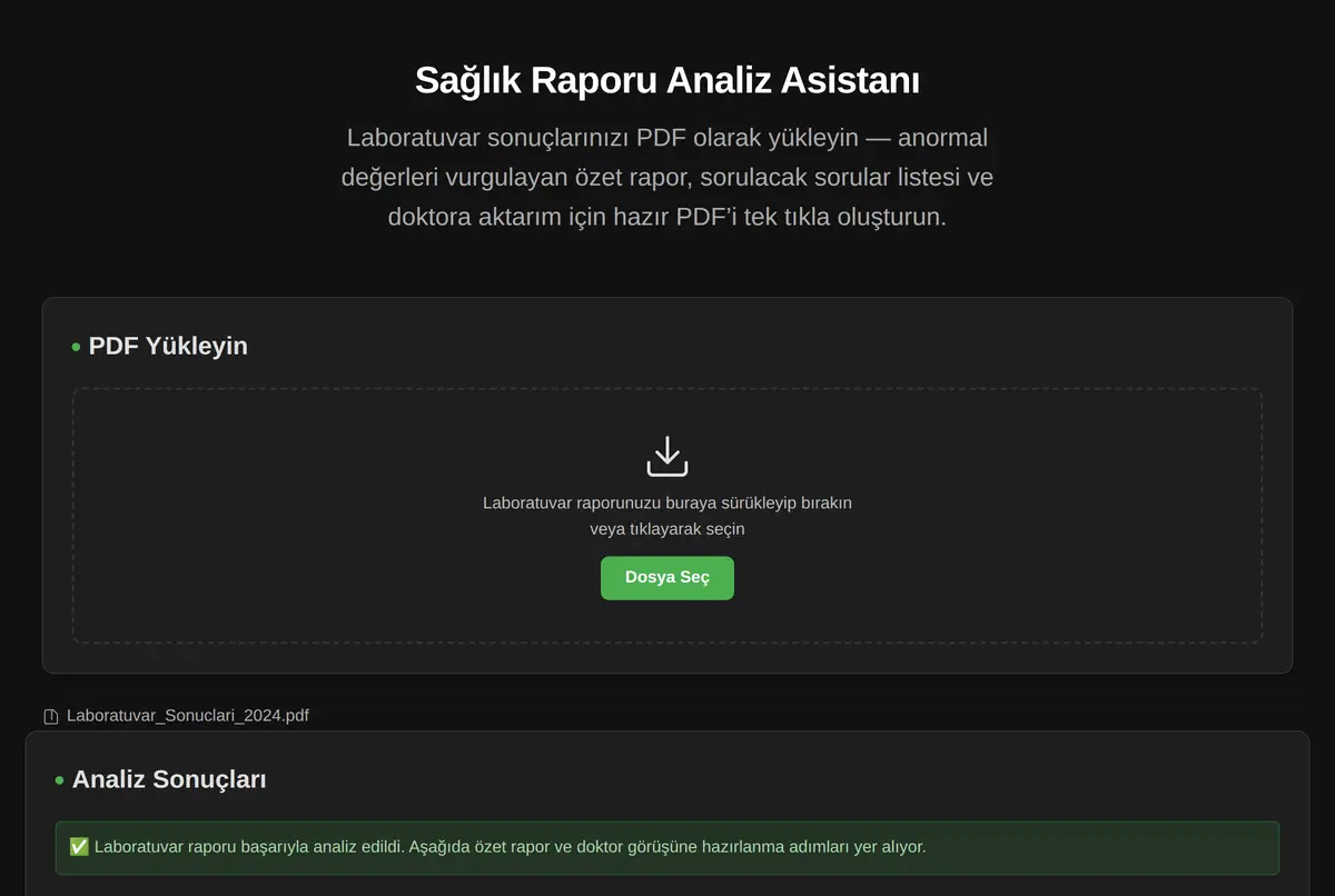 Sağlık Raporu Analiz Asistanı ekran görüntüsü 2