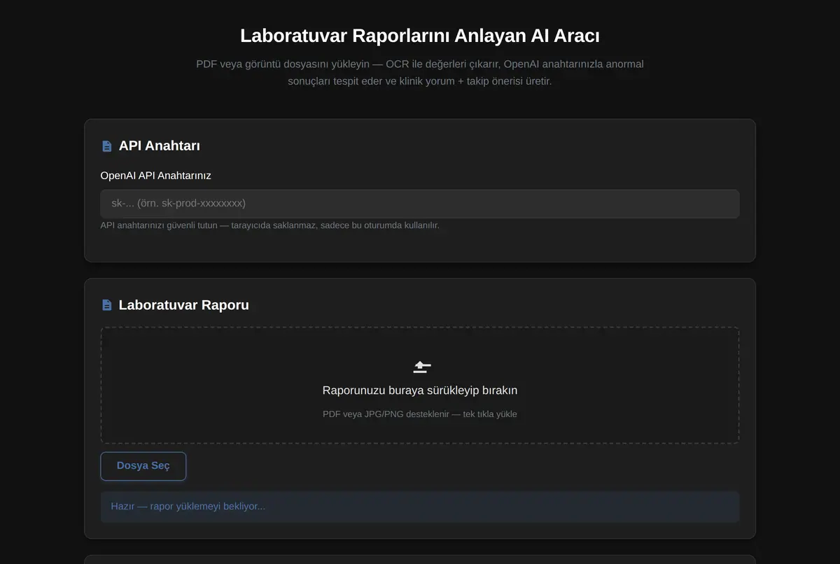 Laboratuvar Raporlarını Anlayan AI Aracı ekran görüntüsü 2