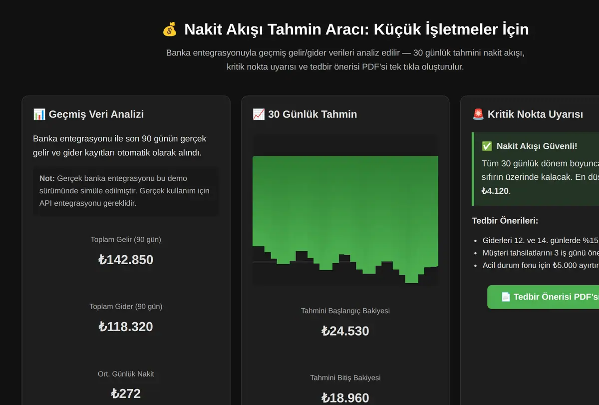 Nakit Akışı Tahmin Aracı: Küçük İşletmeler İçin ekran görüntüsü