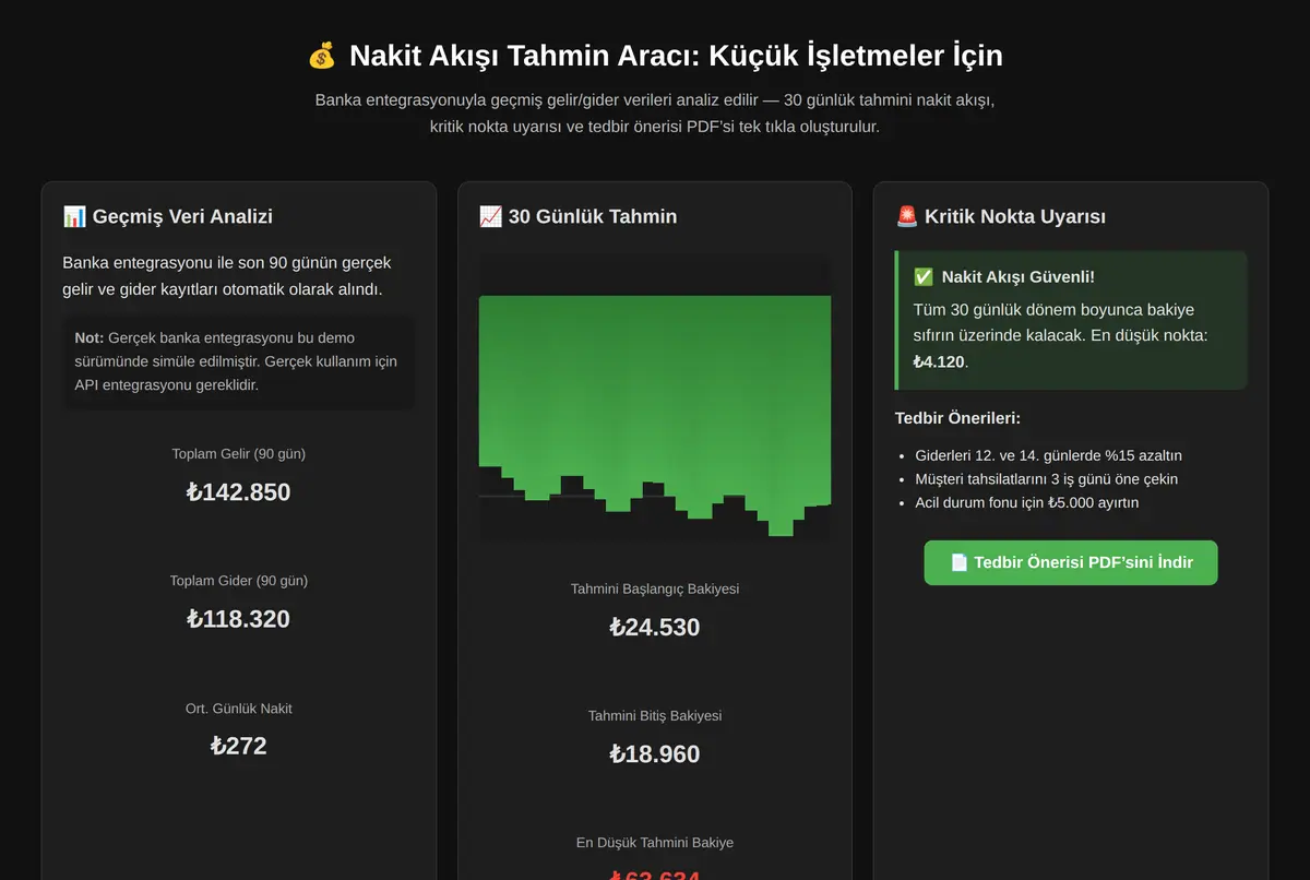Nakit Akışı Tahmin Aracı: Küçük İşletmeler İçin ekran görüntüsü 2