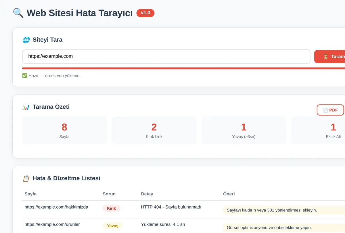 Web Sitesi Hata Tarayıcı & Düzeltme Raporu ekran görüntüsü
