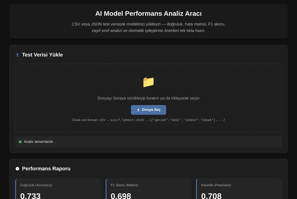 AI Model Performans Analiz Aracı ekran görüntüsü 2