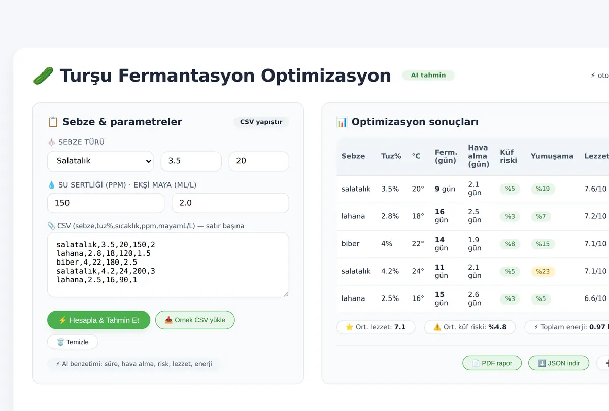 Turşu Fermantasyon Optimizasyon Hesaplayıcı ekran görüntüsü