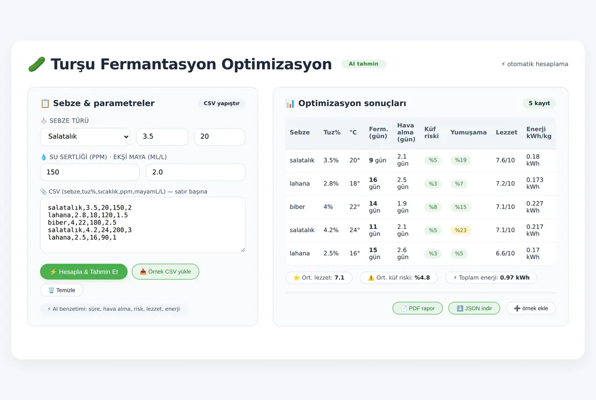 Turşu Fermantasyon Optimizasyon Hesaplayıcı ekran görüntüsü 3