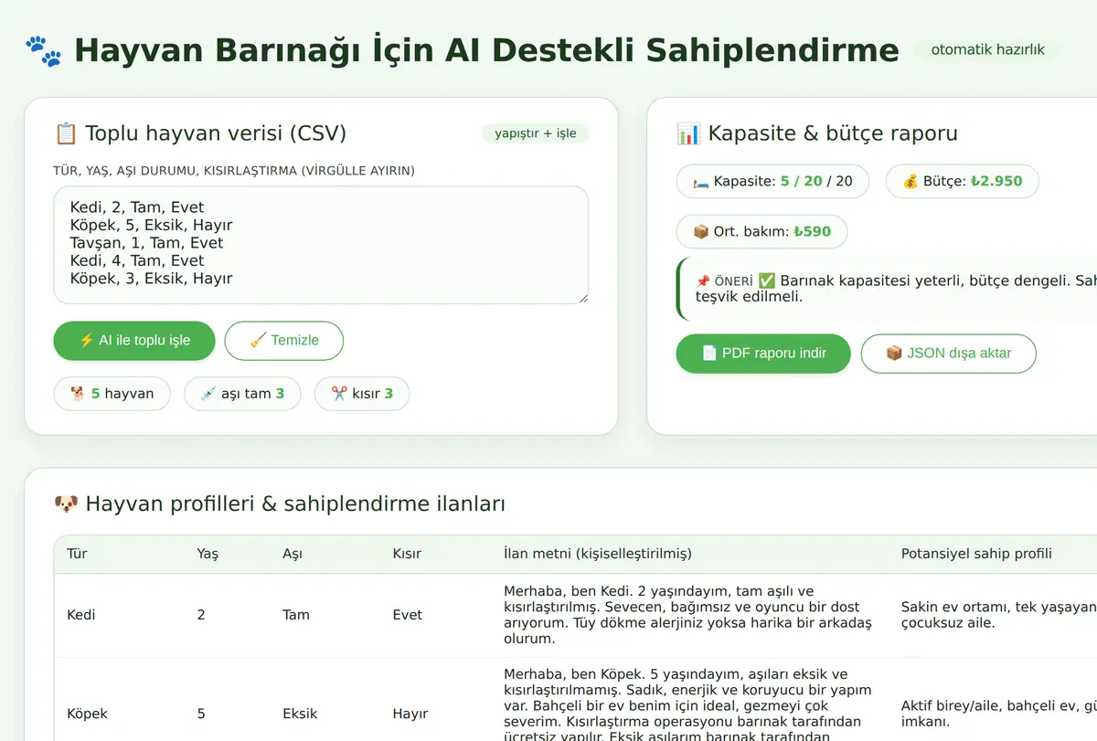 AI Destekli Sahiplendirme Hazırlık ekran görüntüsü