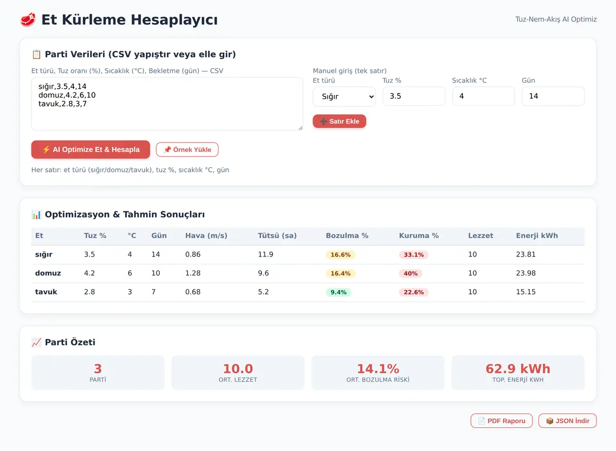 Et Kürleme Hesaplayıcı: Tuz-Nem-Akış AI Optimiz ekran görüntüsü 3