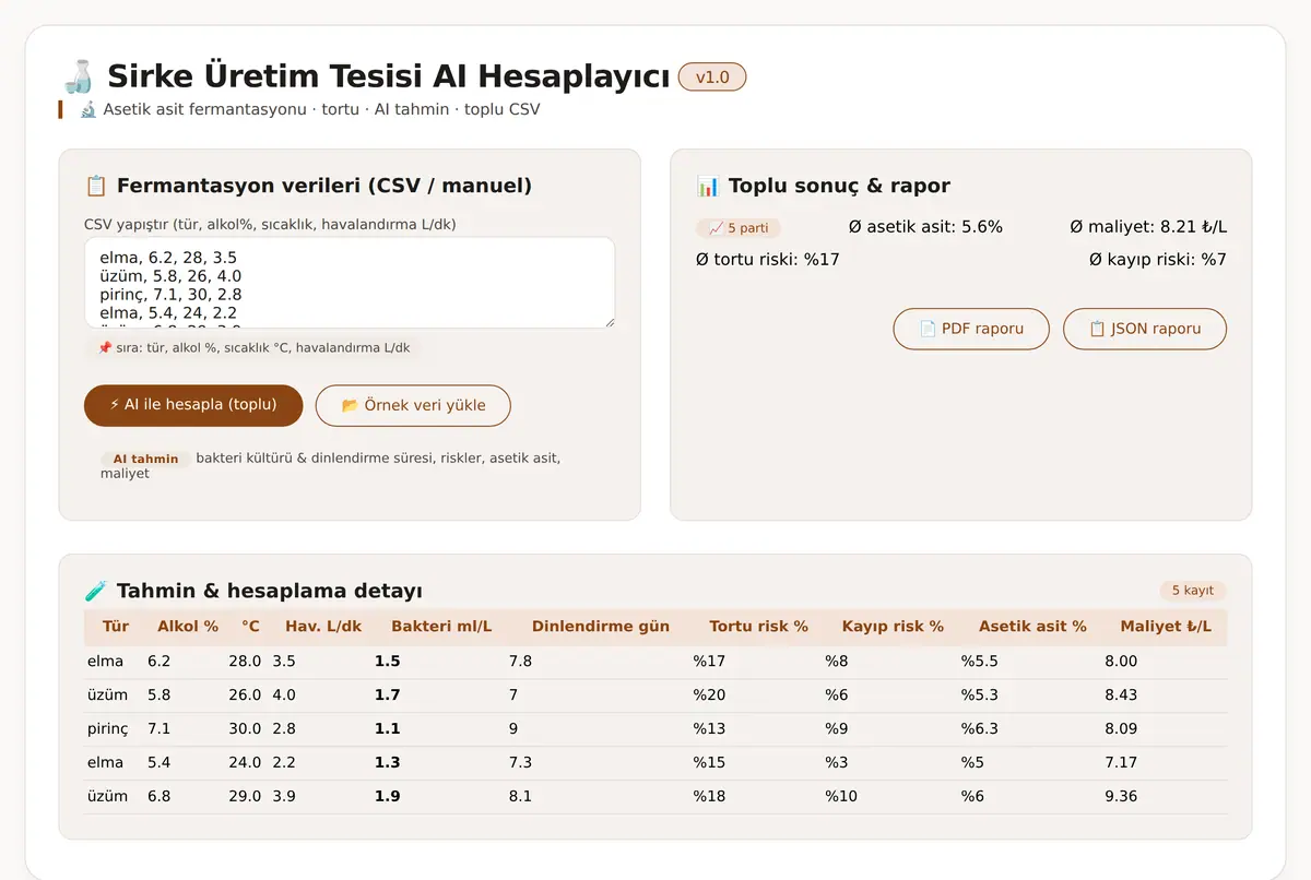 Sirke Üretim Tesisi AI Hesaplayıcı ekran görüntüsü 2
