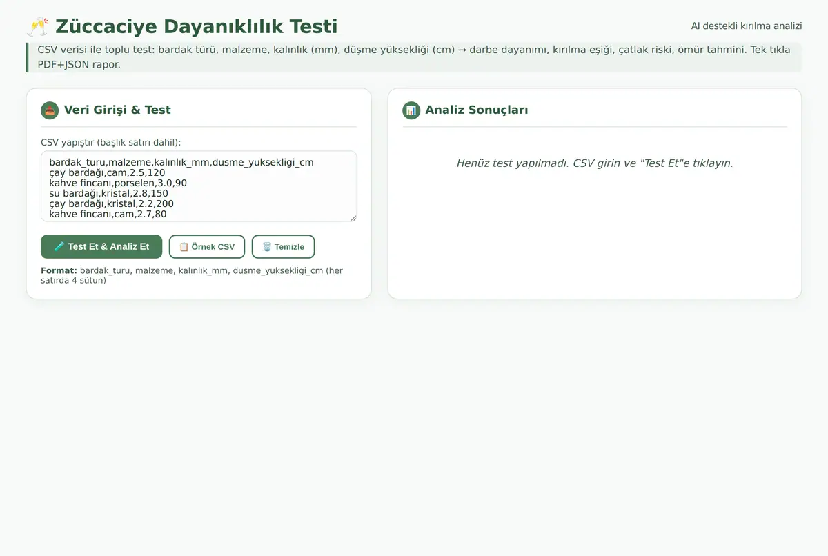 Züccaciye Dayanıklılık Testi ve Kırılma Analiz ekran görüntüsü 3