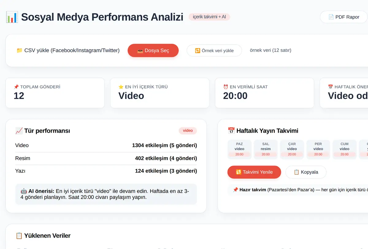 Sosyal Medya Performans Analizi & İçerik Takvim ekran görüntüsü