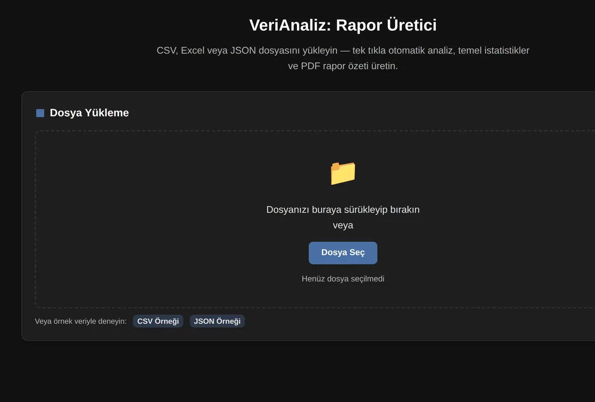 VeriAnaliz: Rapor Üretici ekran görüntüsü