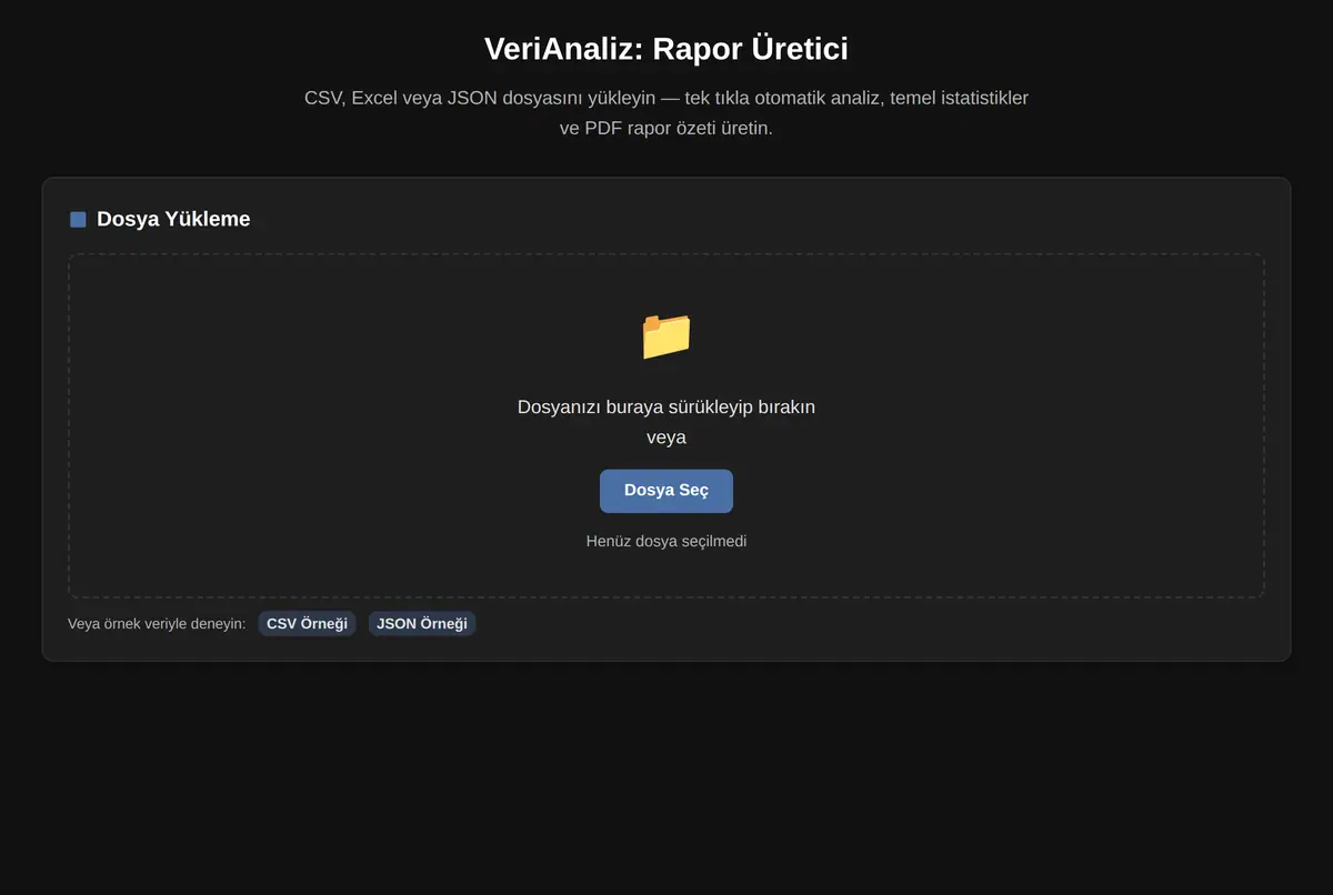 VeriAnaliz: Rapor Üretici ekran görüntüsü 2