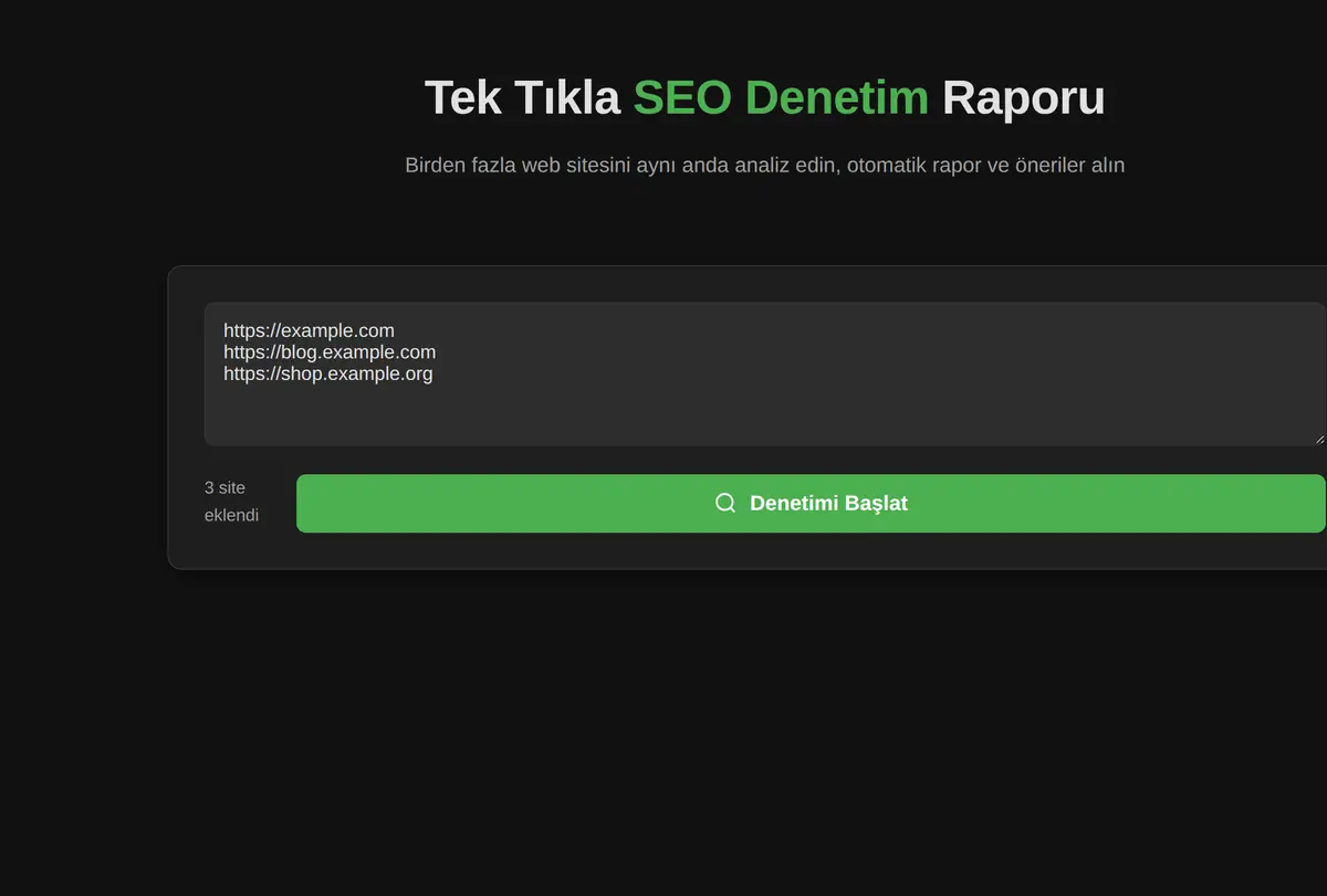 Tek Tıkla SEO Denetim Raporu ekran görüntüsü