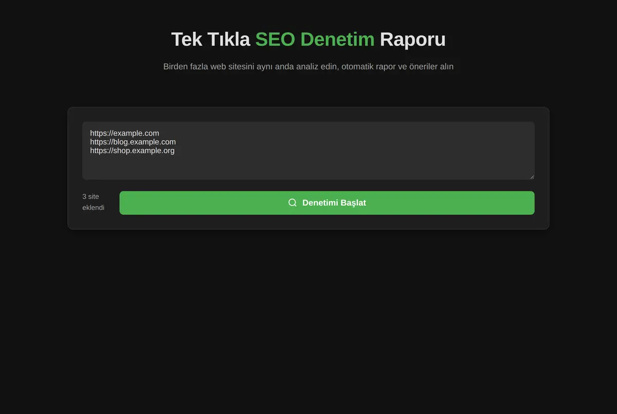 Tek Tıkla SEO Denetim Raporu ekran görüntüsü 3