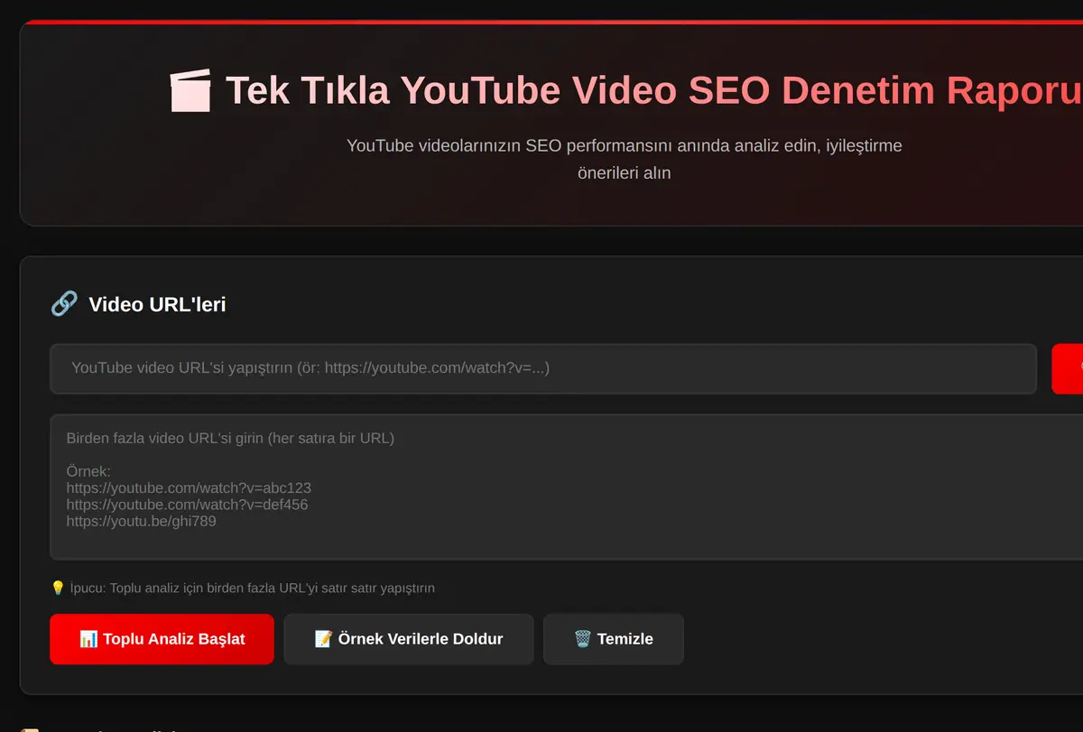 Tek Tıkla YouTube Video SEO Denetim Raporu ekran görüntüsü