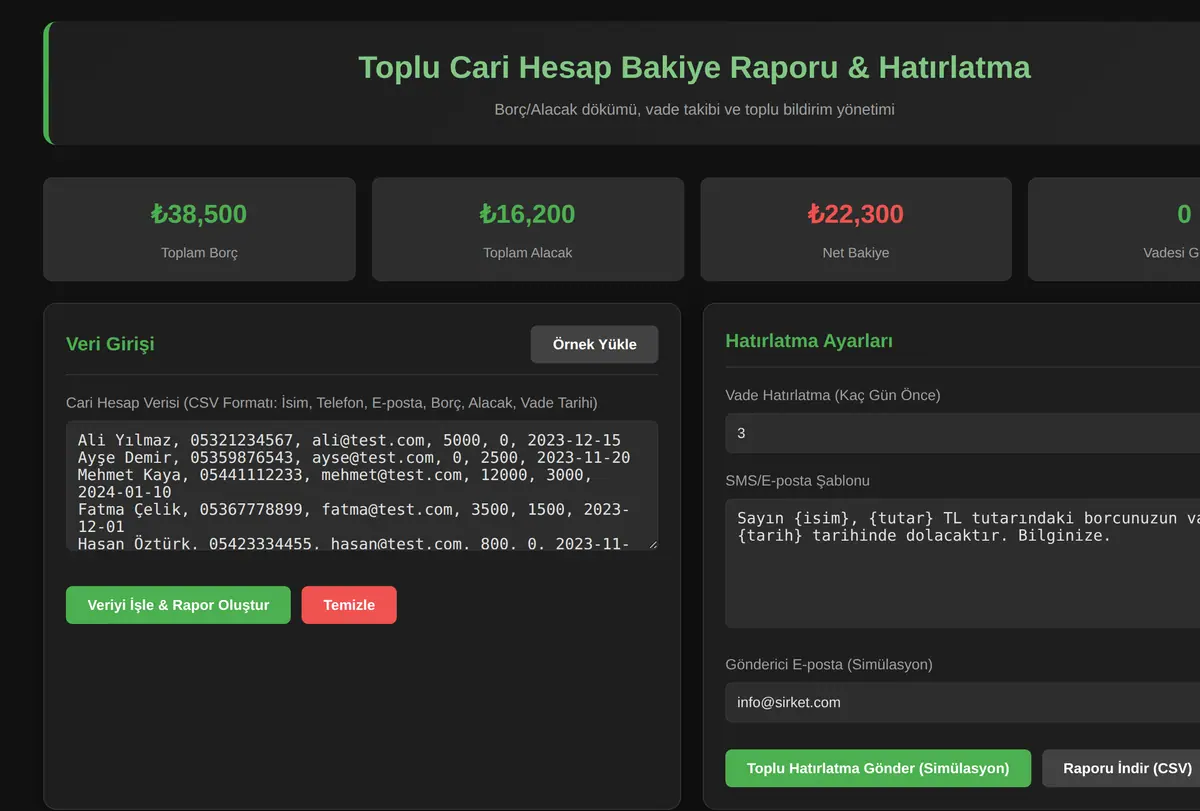 Toplu Cari Hesap Bakiye Raporu & Hatırlatma Aracı ekran görüntüsü