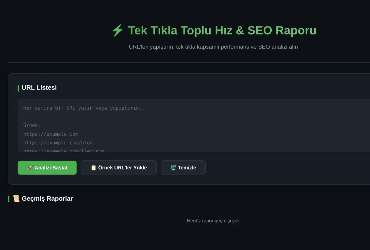 Tek Tıkla Toplu Hız & SEO Raporu Aracı ekran görüntüsü