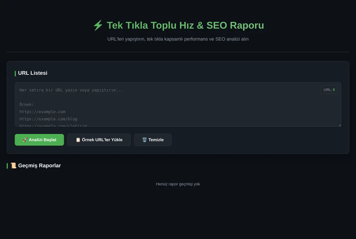 Tek Tıkla Toplu Hız & SEO Raporu Aracı ekran görüntüsü 2