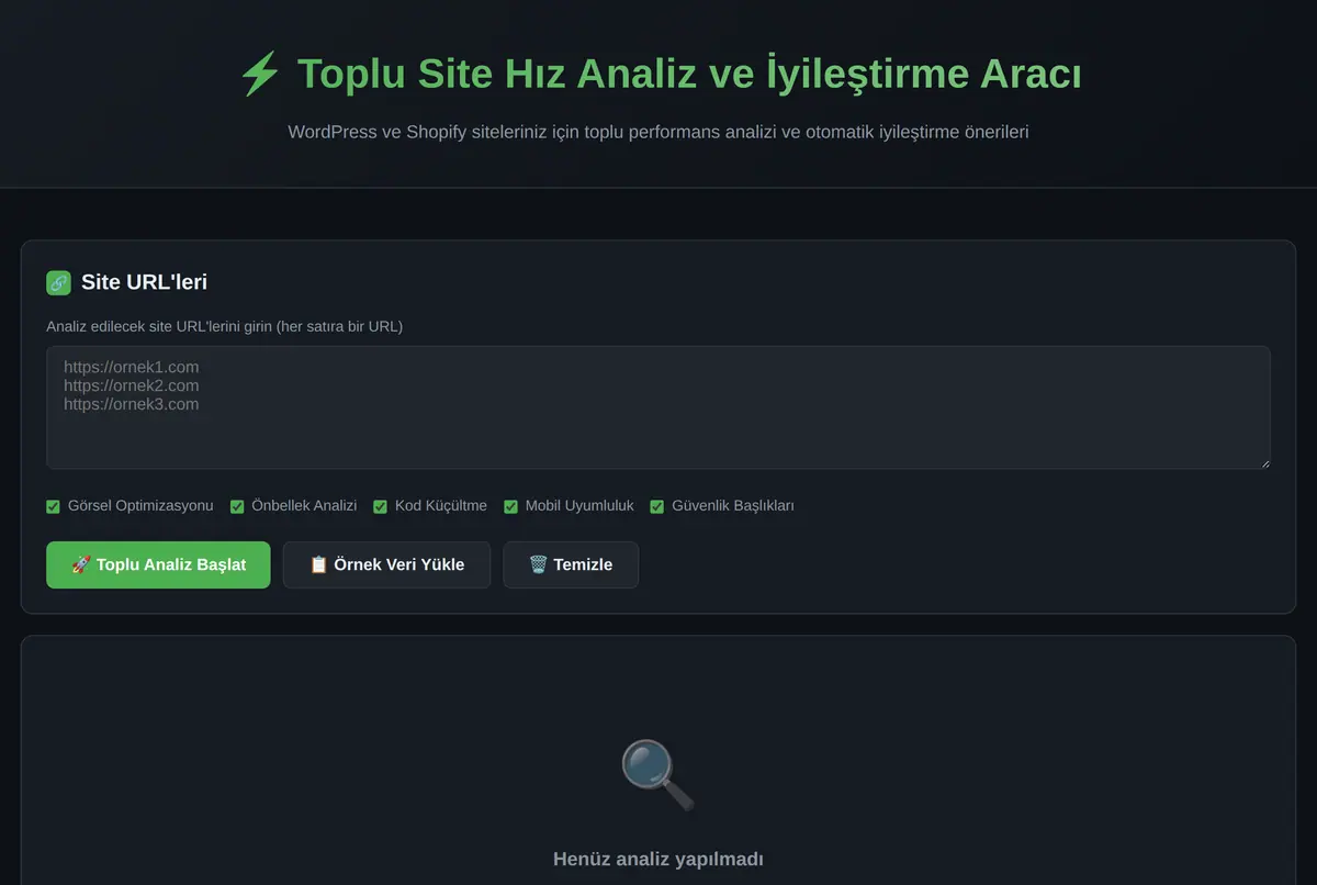 Toplu Site Hız Analiz ve İyileştirme Aracı ekran görüntüsü 2