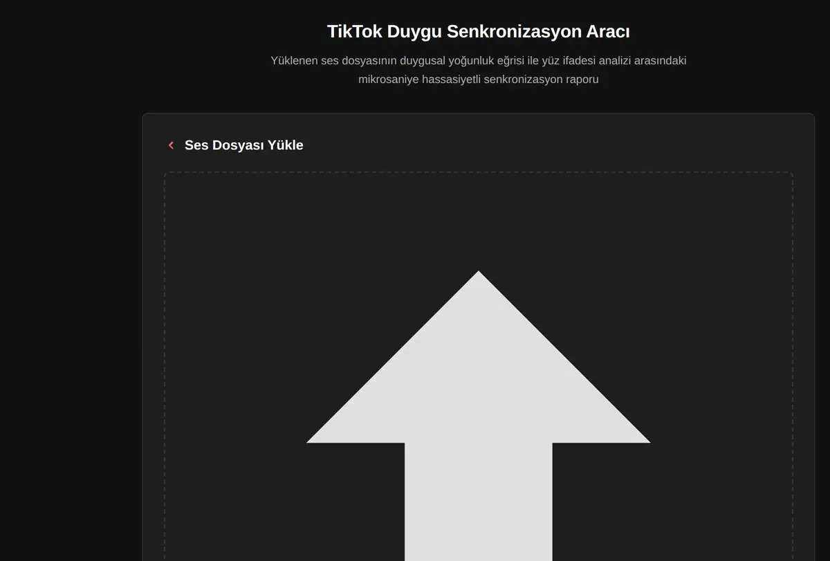 TikTok Duygu Senkronizasyon Aracı ekran görüntüsü