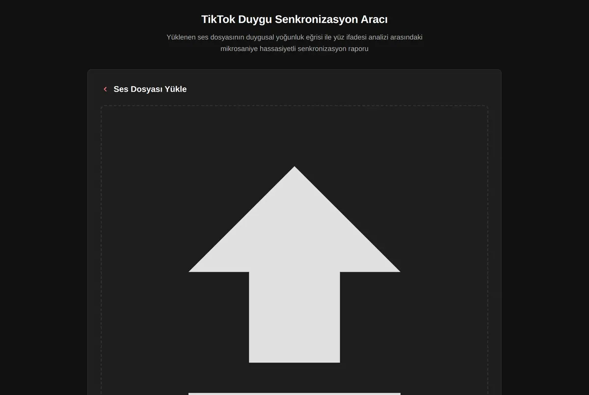 TikTok Duygu Senkronizasyon Aracı ekran görüntüsü 2