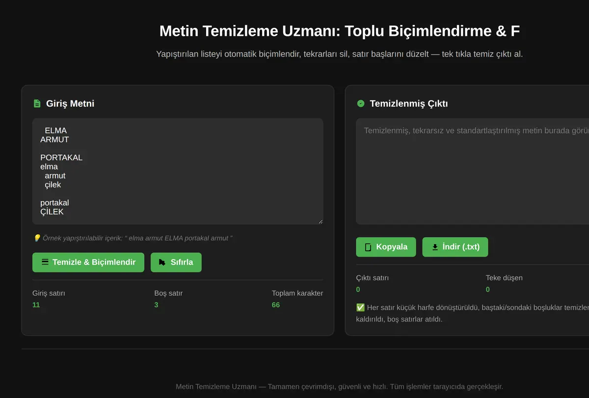 Metin Temizleme Uzmanı: Toplu Biçimlendirme & F ekran görüntüsü