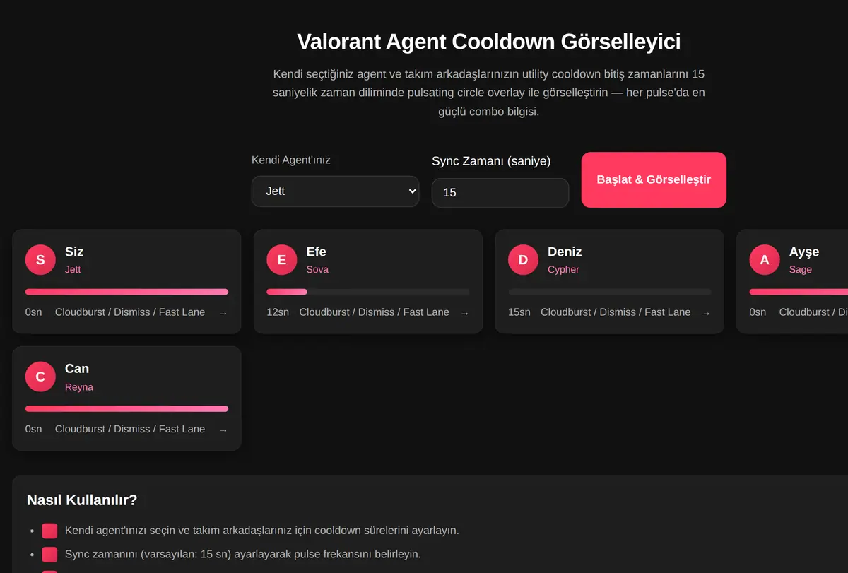 Valorant Agent Cooldown Görselleyici ekran görüntüsü