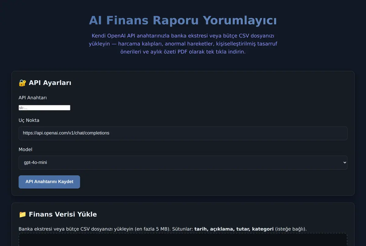 AI Finans Raporu Yorumlayıcı ekran görüntüsü 2